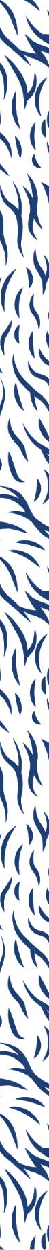 Background Pattern